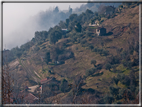 foto Colline Marosticane nella Nebbia